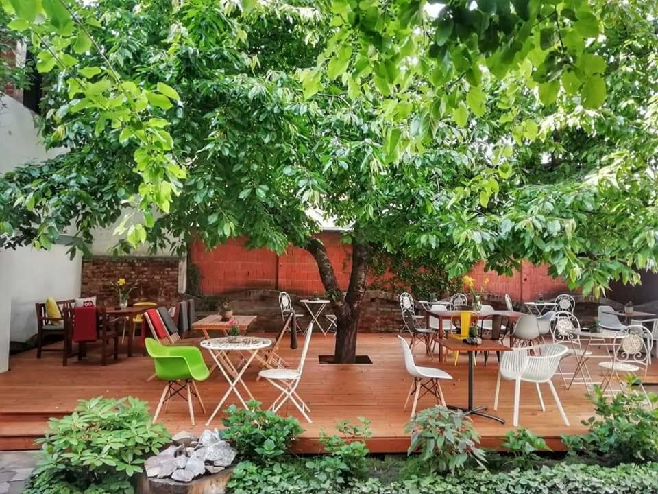 Апартаменты Casa Miron 1 Тимишоара Экстерьер фото